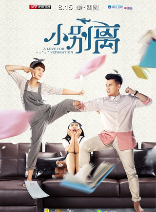 陳數參演電影/電視劇