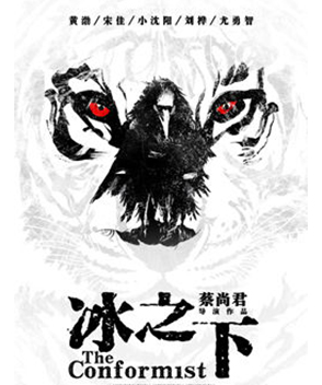 宋佳參演電影/電視劇