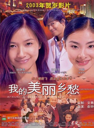 劉璇參演電影/電視劇