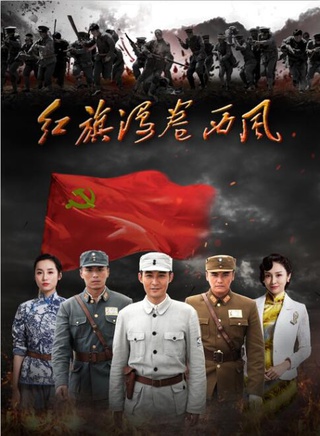 張光北參演電影/電視劇