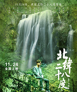 李彩樺參演電影/電視劇