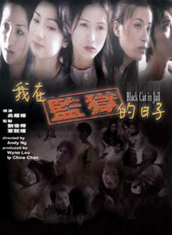 洪欣參演電影/電視劇