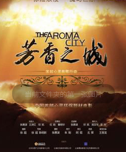 張璇參演電影/電視劇