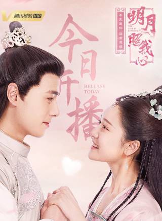 陶珞依參演電影/電視劇