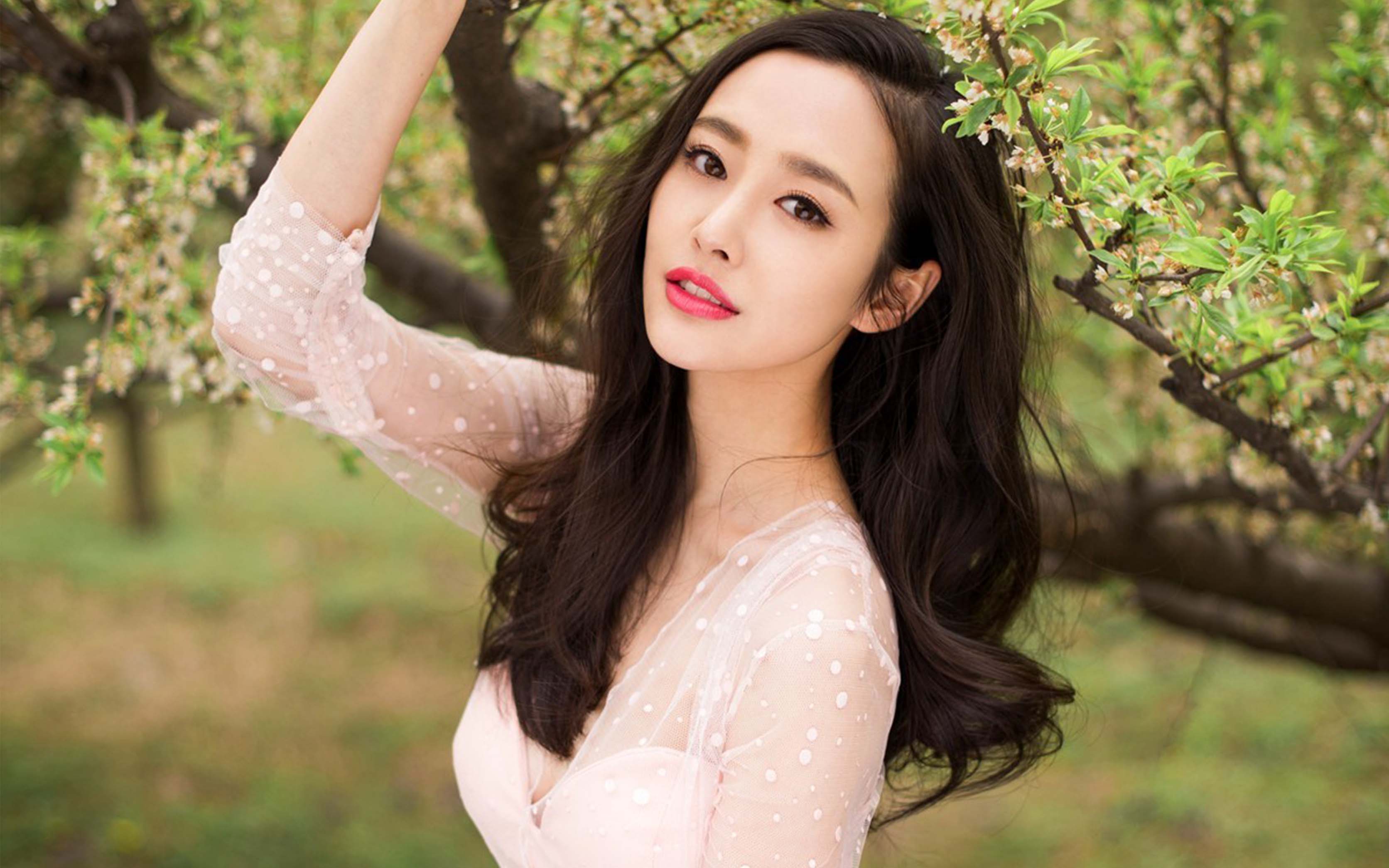 李純出演的電視劇有哪些